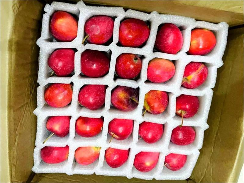 掌柜推荐海棠果鸡心果新鲜包售后欢迎加入大家庭