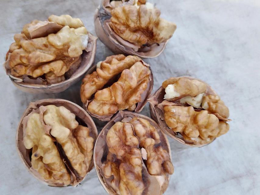 野生核桃与健康饮食搭配示意图