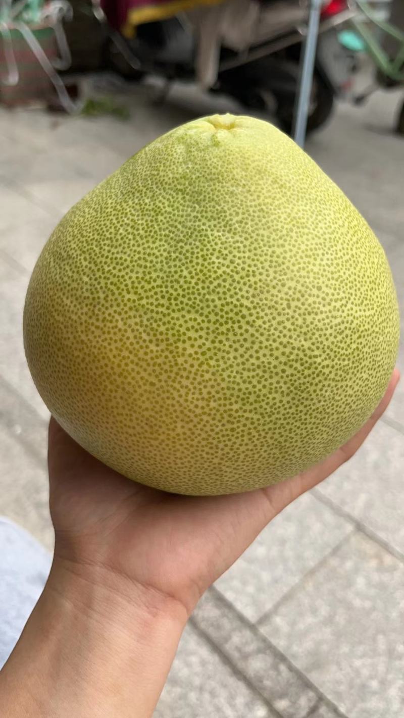 度尾红心文旦柚，日照充足汁水丰盈口感细腻，福建四大名果之