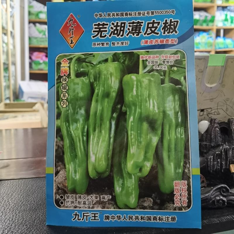 芜湖薄皮椒种子辣椒种长灯笼形果皮较皱果色淡绿微辣皮薄农家