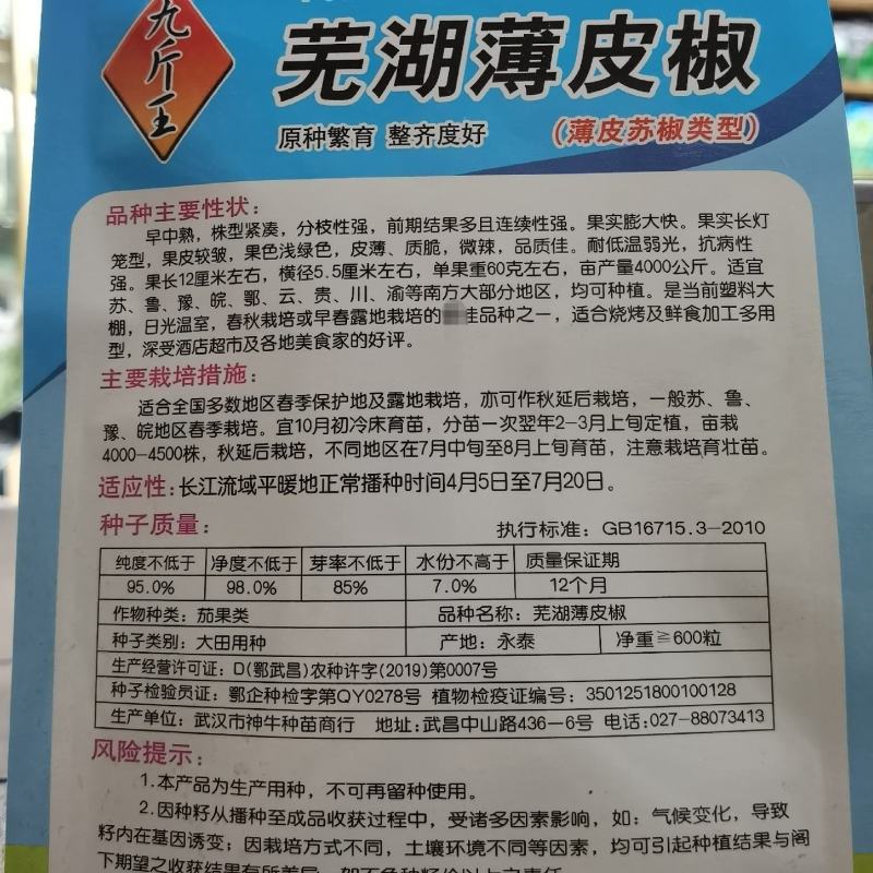 芜湖薄皮椒种子辣椒种长灯笼形果皮较皱果色淡绿微辣皮薄农家