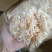 精品小虾皮，调料虾皮，产地直发，一手货源。咸虾皮证件齐全