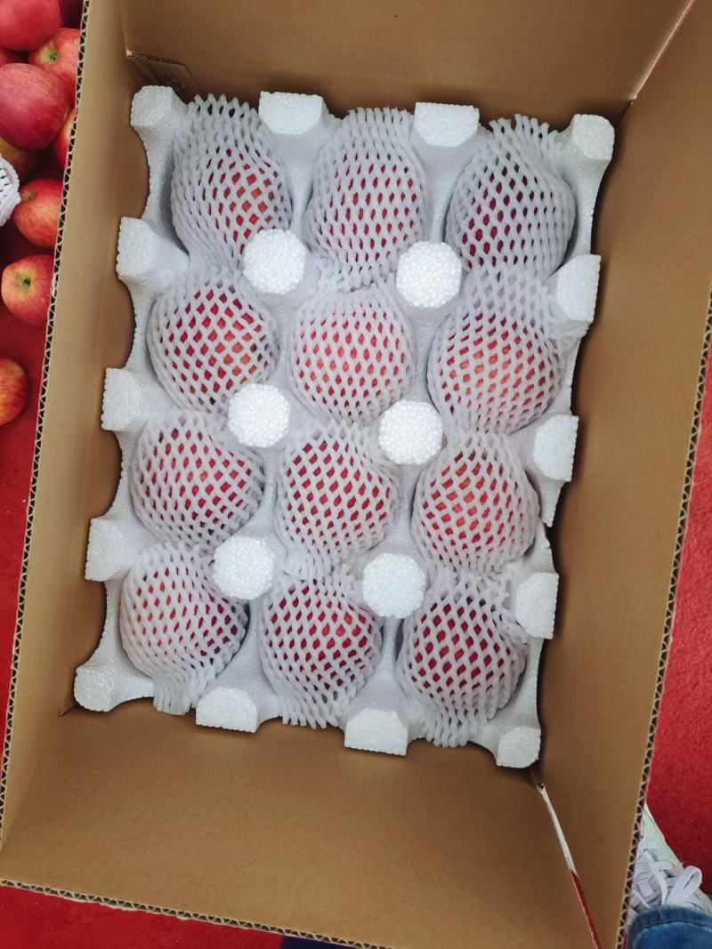云南昭通冰糖心丑苹果一件代发，规格可定制，接电商