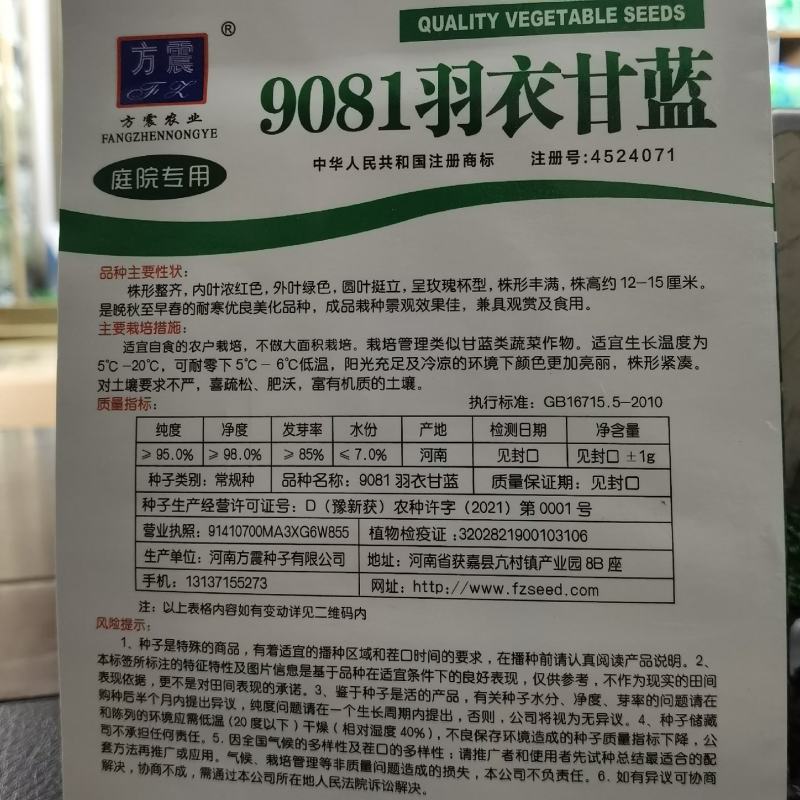 羽衣甘蓝种子观赏及食用春秋均可栽培耐寒农家庭院景观绿化用