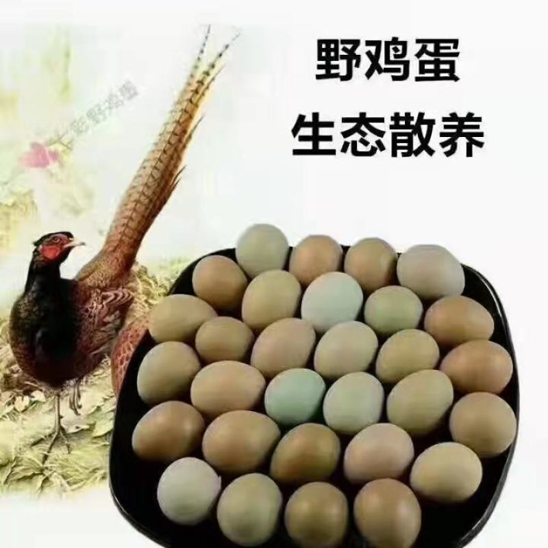 七彩野鸡蛋，养殖场直供，货源充足，保证新鲜，全国发货