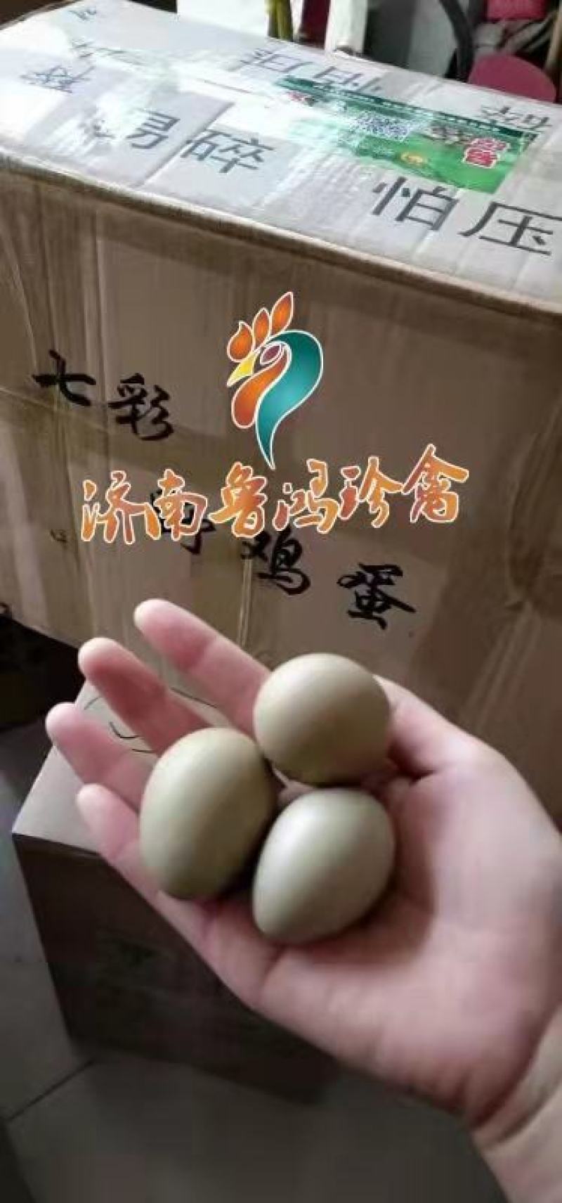 七彩野鸡蛋，养殖场直供，货源充足，保证新鲜，全国发货