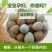 七彩野鸡蛋，养殖场直供，货源充足，保证新鲜，全国发货