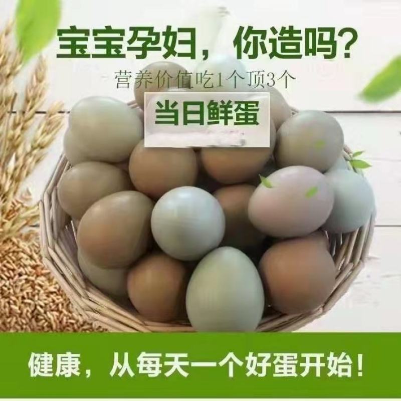 七彩野鸡蛋，养殖场直供，货源充足，保证新鲜，全国发货