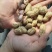 精选新鲜花生，价格美丽，质量可靠，欢迎实地考察