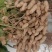 精选新鲜花生，价格美丽，质量可靠，欢迎实地考察