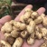 精选新鲜花生，价格美丽，质量可靠，欢迎实地考察