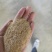 【优选】沈阳稻壳粉货源充足量大从优欢迎电话联系