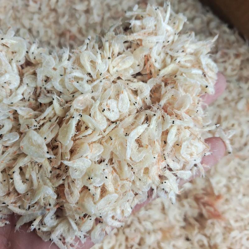 精品深海虾米