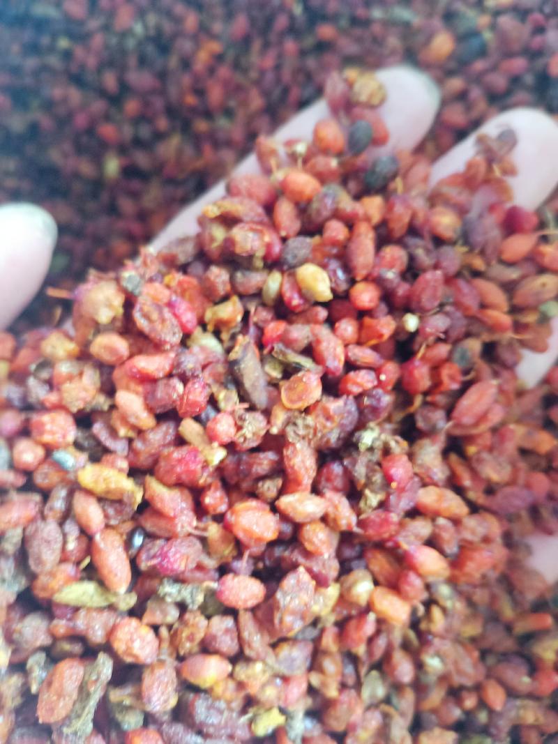 沙棘果，正宗新疆野生沙棘果沙棘子沙棘粉沙棘果酱质量保证！