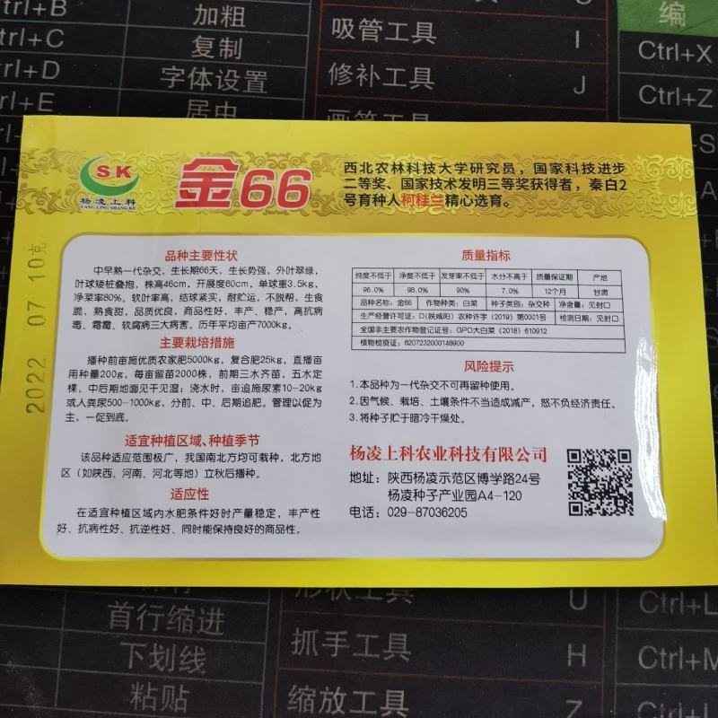 金66大白菜种子66天中早熟一代杂交种生食脆熟食甜农户用