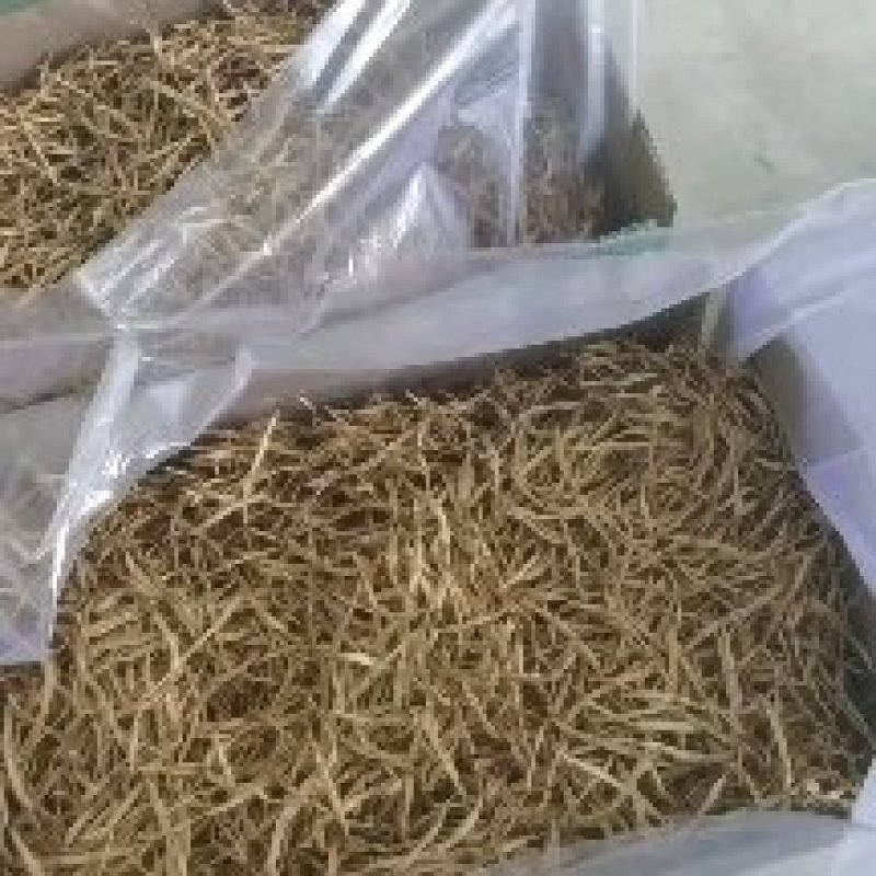 宁夏盐池县贺家泉黄花菜