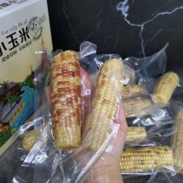 花糯玉米