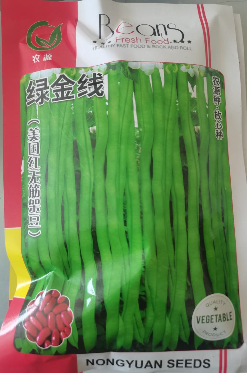 架豆种子，四季豆种子，无筋架豆种子，美国红架豆种子