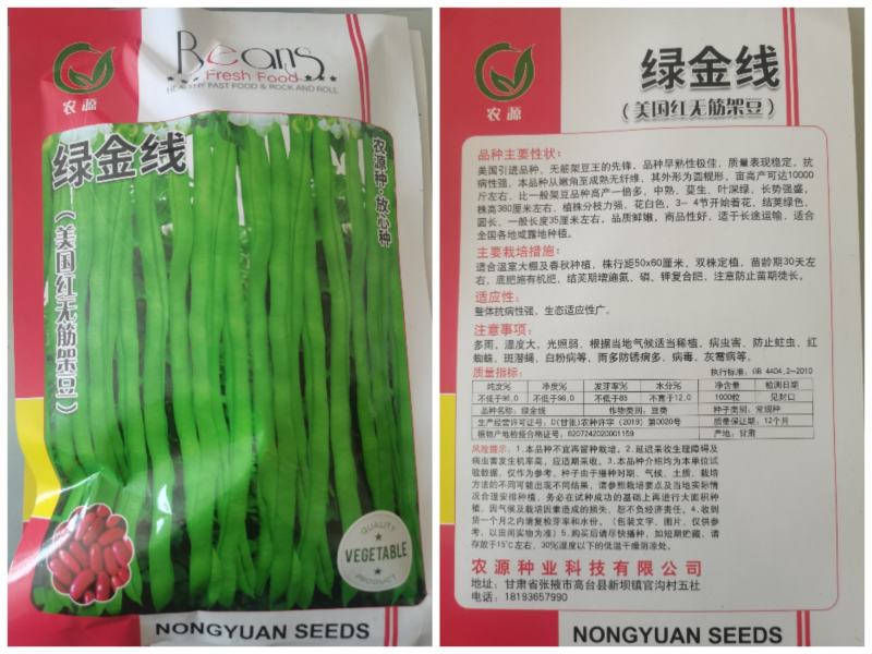 架豆种子，四季豆种子，无筋架豆种子，美国红架豆种子