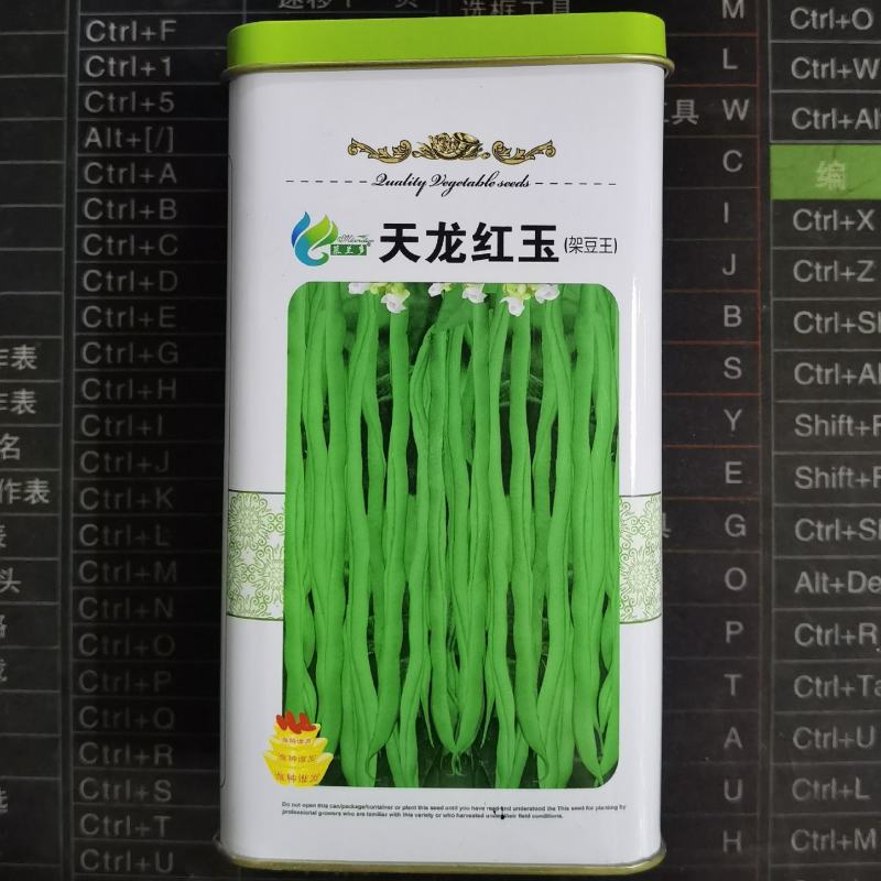 天龙红玉架豆王种子幕兰多四季豆种子无丝豆种籽种植户大田用