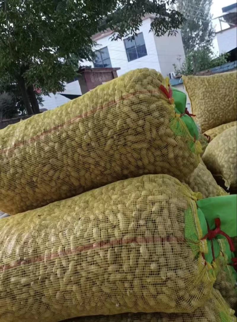 精选鲜花生，中花，白沙，产地直发，欢迎采购