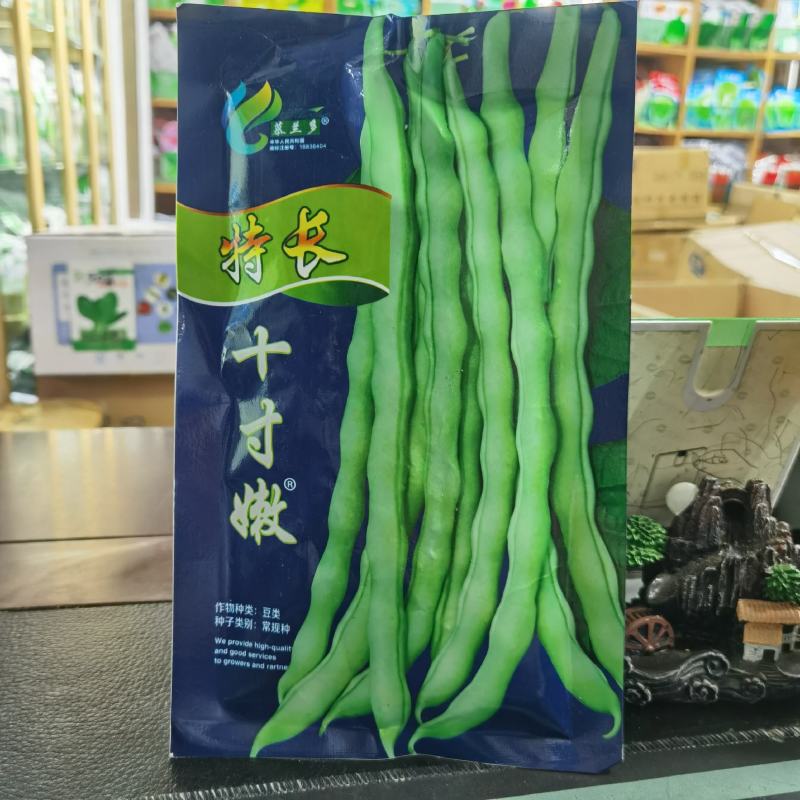 慕兰多十寸嫩豆角种子四季豆种子白肉豆种子菜农种植户大田
