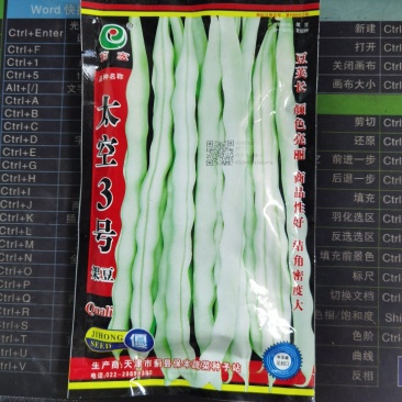 太空3号白肉豆架豆种子四季豆种子芸豆白籽