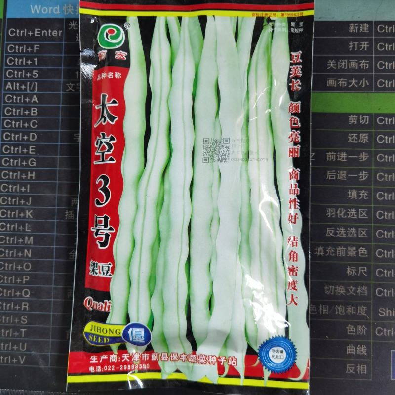 太空3号白肉豆架豆种子四季豆种子芸豆白籽