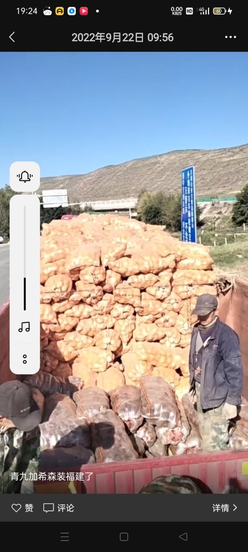 青九红土豆