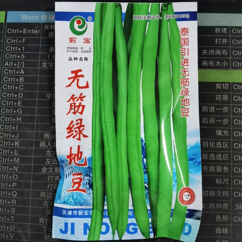 无筋绿地豆四季豆种子无需搭架春秋农家庭院种植