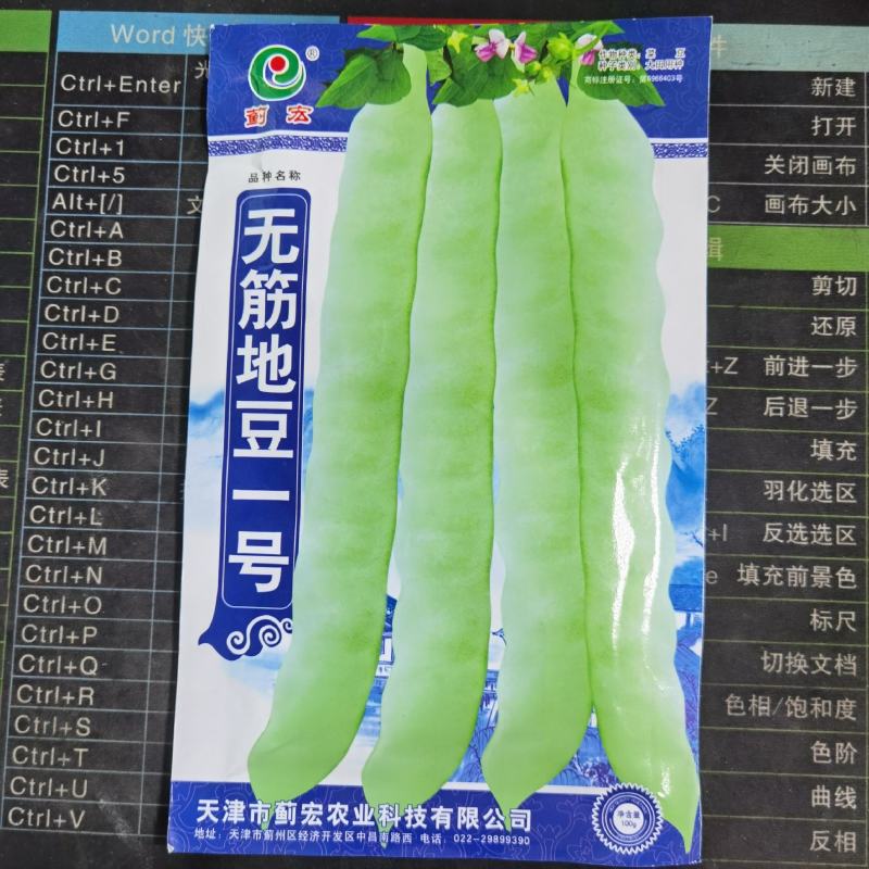 无筋地豆王1号四季豆种子地眉豆种子春秋农家庭院种植