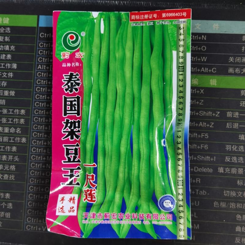 泰国架豆王一尺架豆王种子春秋均可播种农家庭院种植