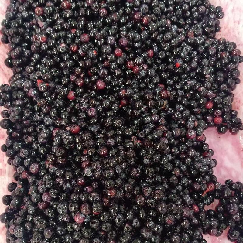 丹东东港冰冻蓝莓原料，无杂质无烂果，出口级别