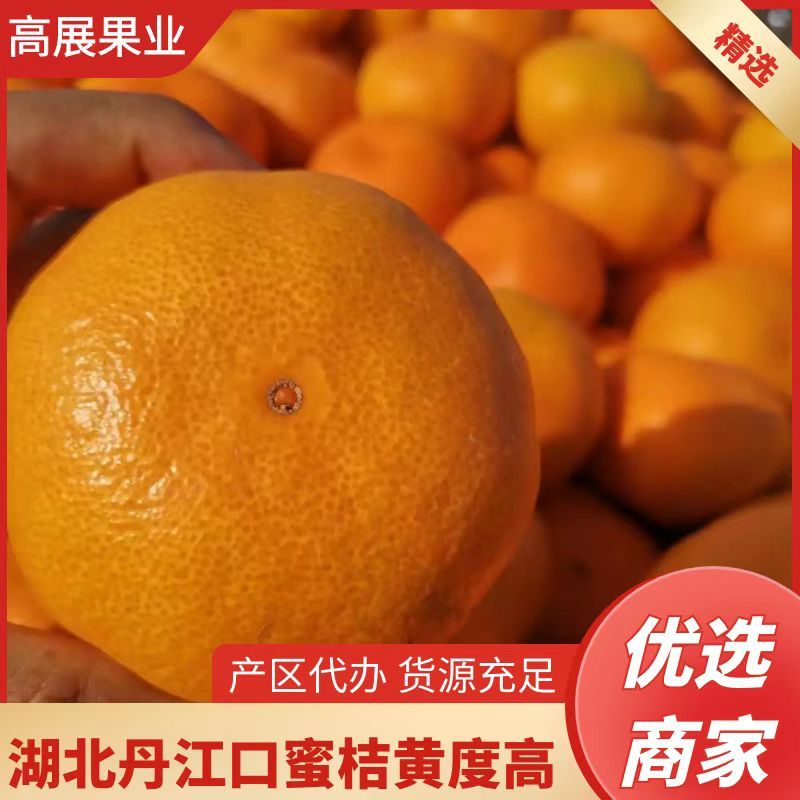 湖北丹江口早熟蜜桔(柑橘）一手货源诚信对接各大市场商超