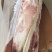 肥猪前后腿肉冷冻猪副产品猪肉现货