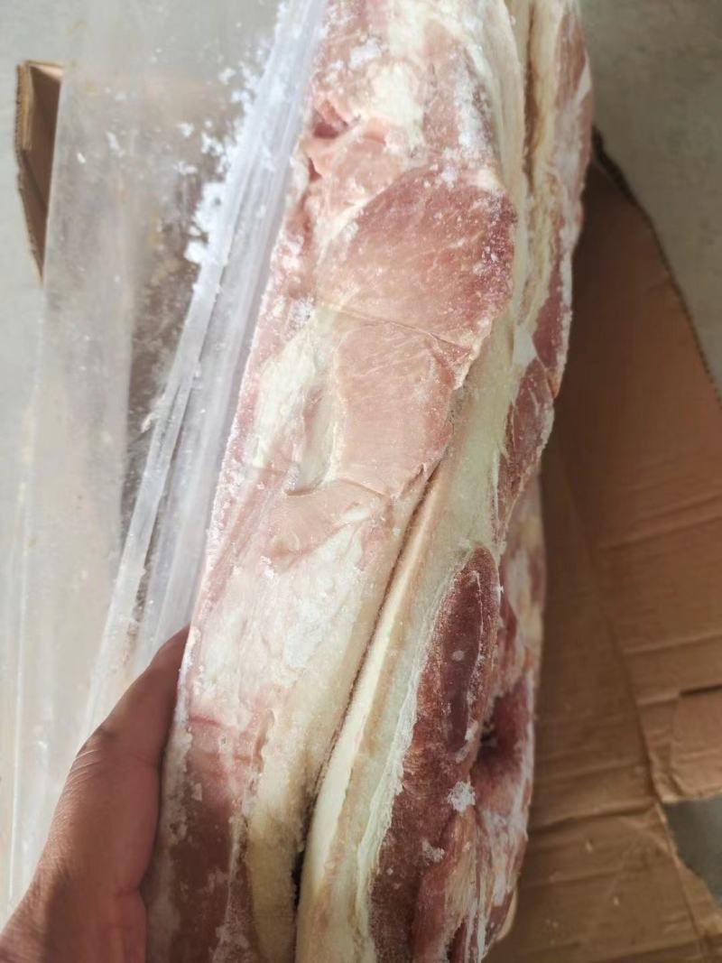肥猪前后腿肉冷冻猪副产品猪肉现货