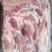 肥猪前后腿肉冷冻猪副产品猪肉现货