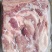 肥猪前后腿肉冷冻猪副产品猪肉现货