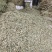 金钱草，青青绿绿色的，干货切断，水洗无泥沙无杂草，干净货