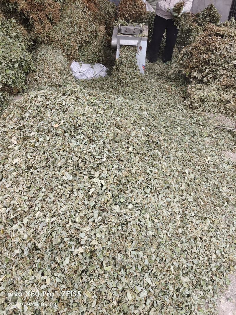 金钱草，青青绿绿色的，干货切断，水洗无泥沙无杂草，干净货