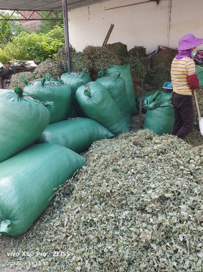金钱草，青青绿绿色的，干货切断，水洗无泥沙无杂草，干净货