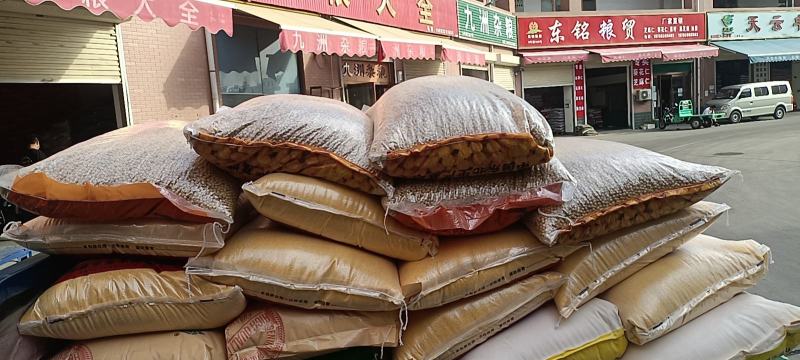 燕麦即莜麦，俗称为油麦！主产区河北地区！