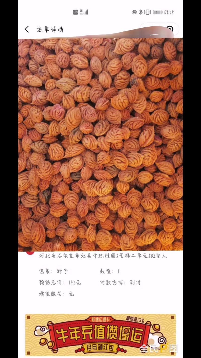 大量出售毛桃核种，山桃核种子