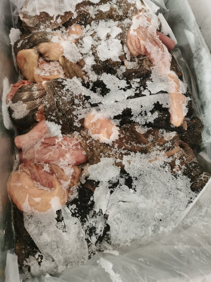 羊肚，免洗产品，新鲜货，长期合作优先，欢迎来我公司洽谈合