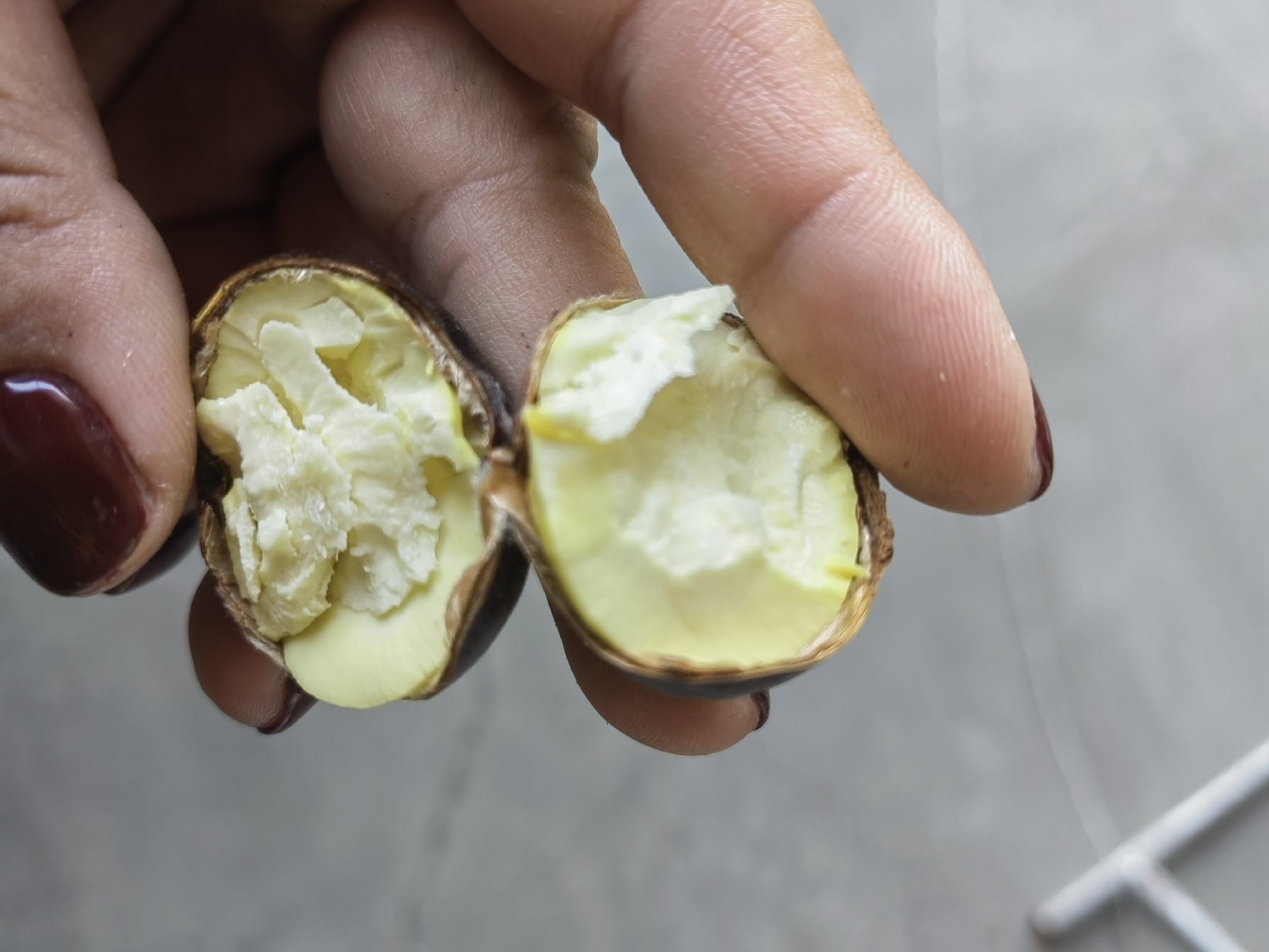 油栗剥皮过程对比示意图