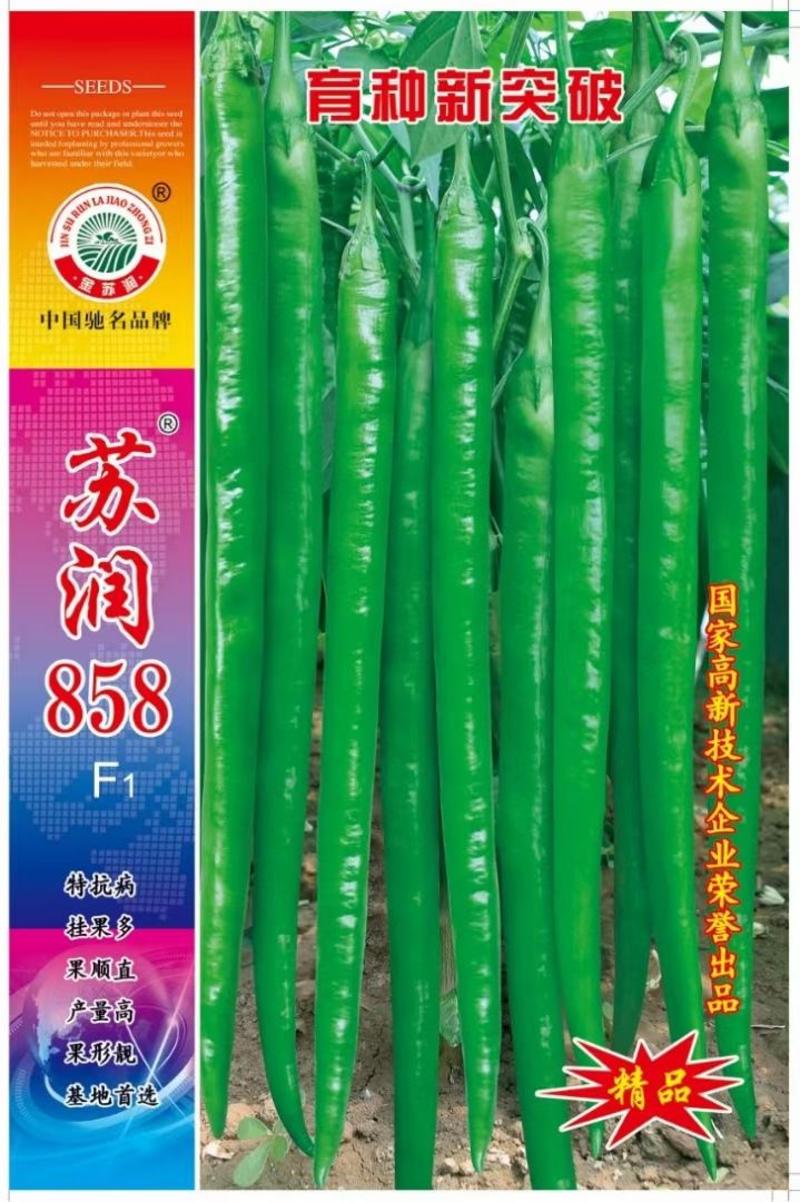 长果线椒种子苏润858抗病椒长40厘米产量高品质好