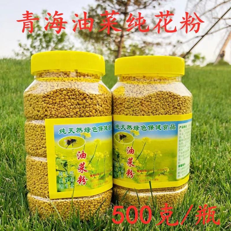 油菜花粉青海油菜花粉保质保量包邮到家
