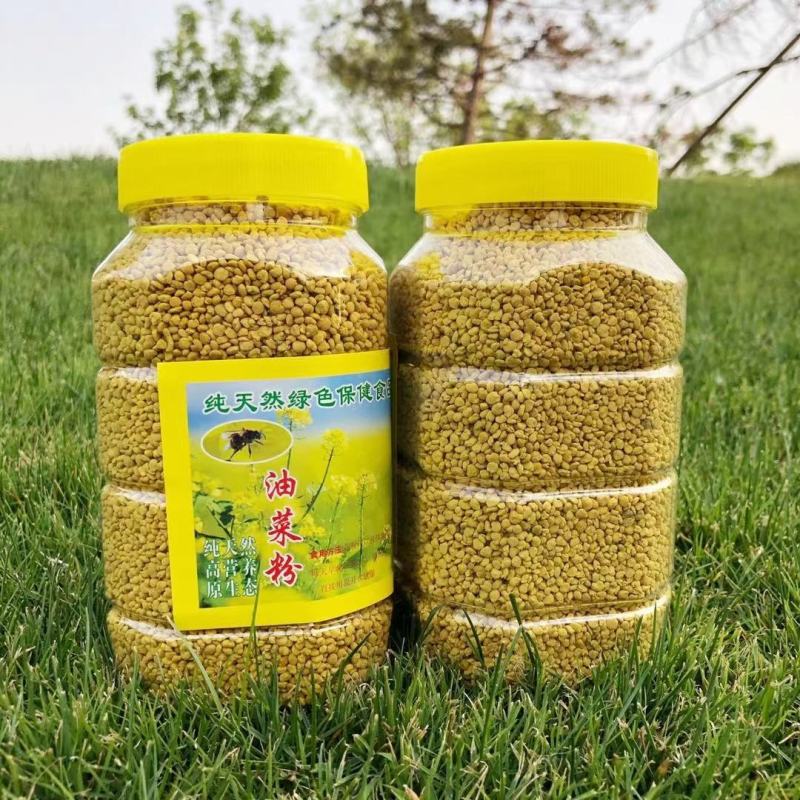 油菜花粉青海油菜花粉保质保量包邮到家
