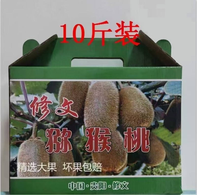 贵州猕猴桃品种贵长，零担整车一件代发合作社年产量上万吨。