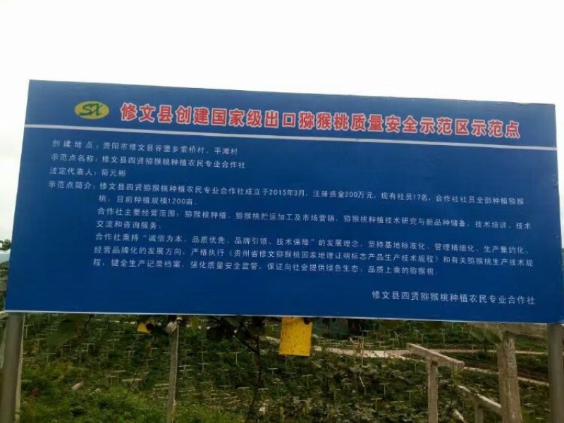 贵州猕猴桃品种贵长，零担整车一件代发合作社年产量上万吨。